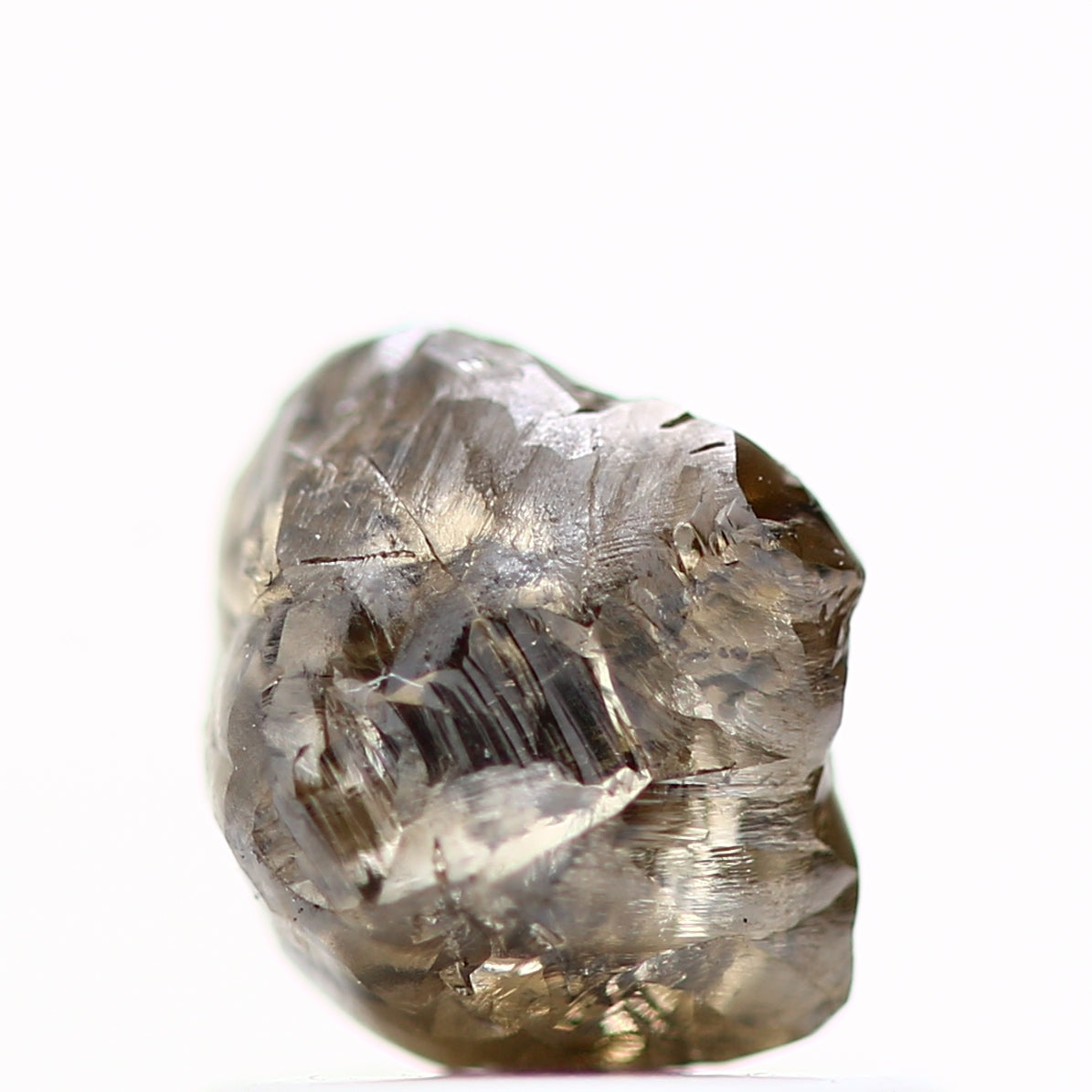 ClariOLED Transparent OLED Display price