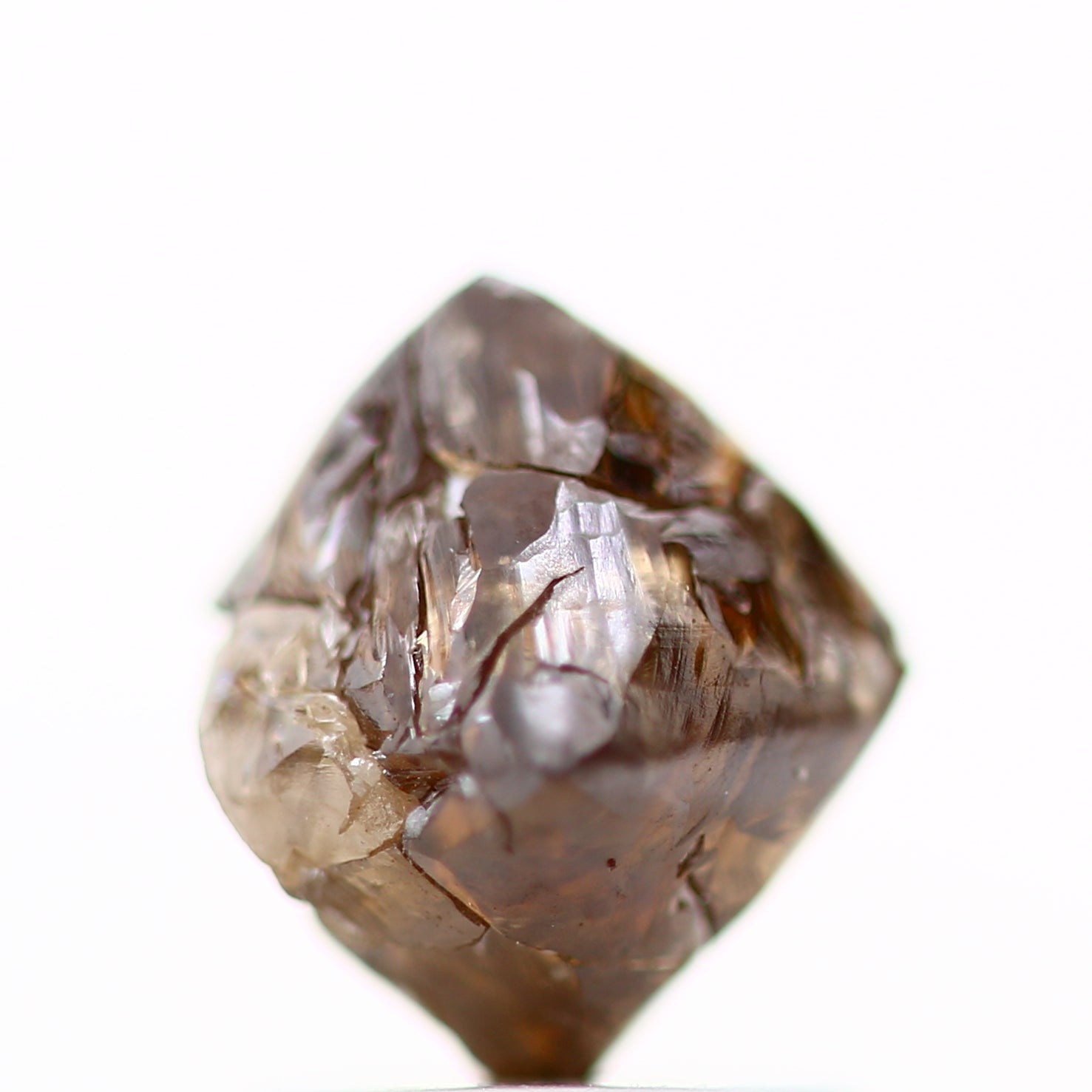 ClariOLED Transparent OLED Display price