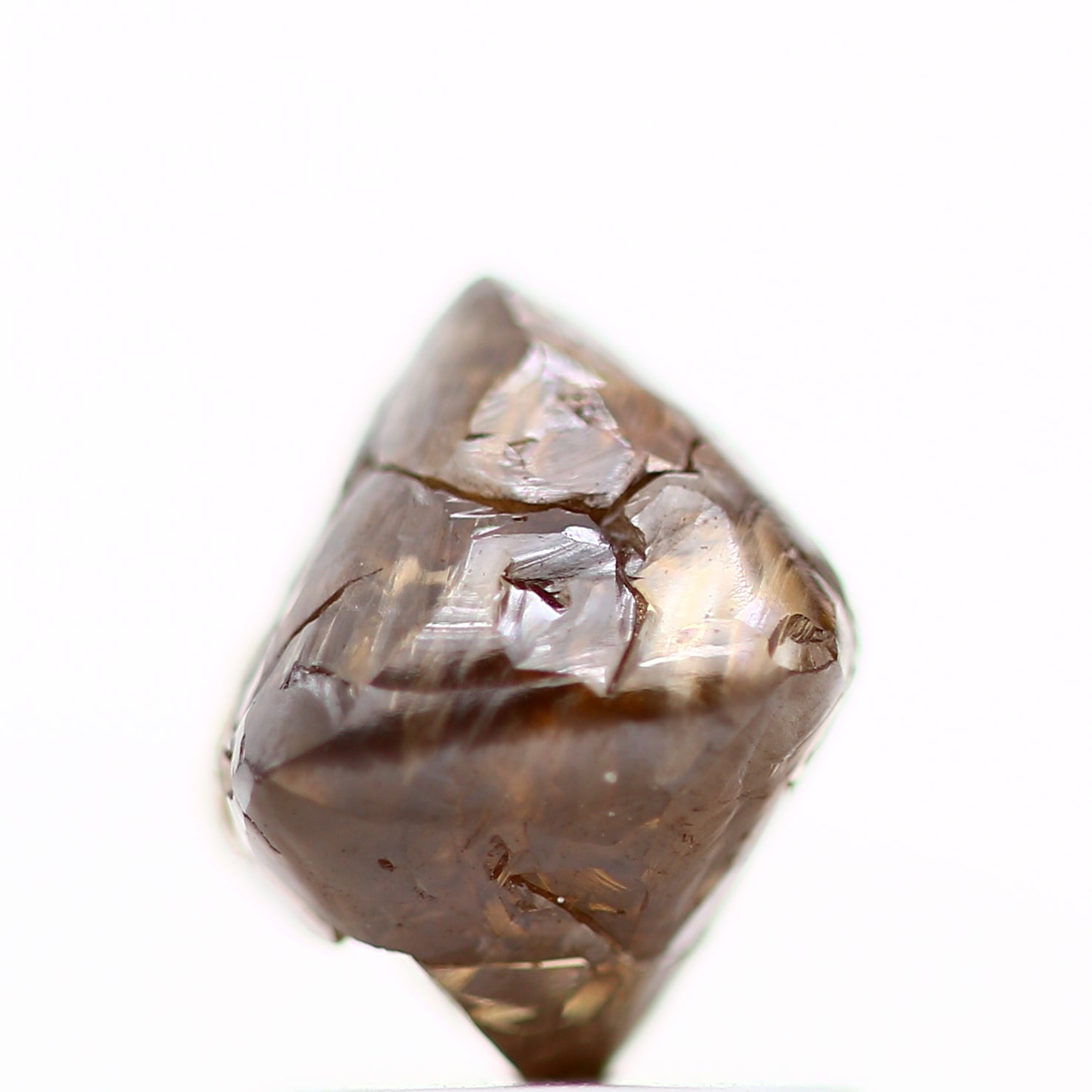 ClariOLED Transparent OLED Display price