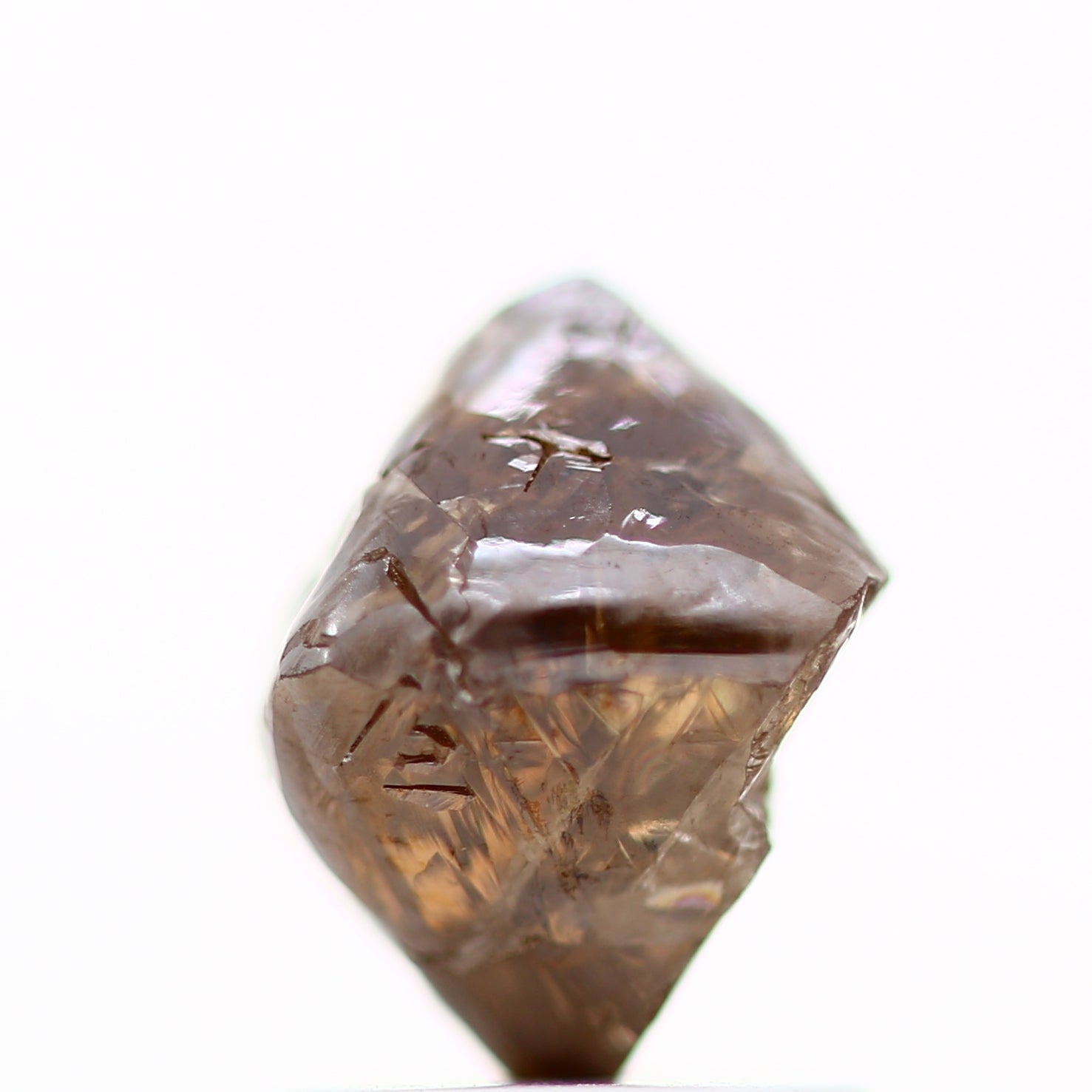 ClariOLED Transparent OLED Display price