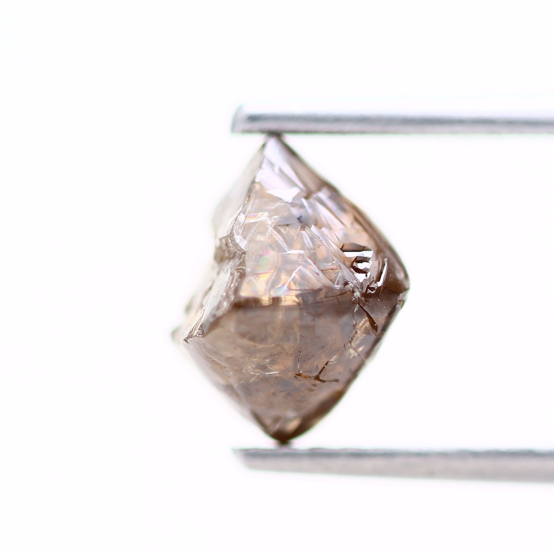 ClariOLED Transparent OLED Display price