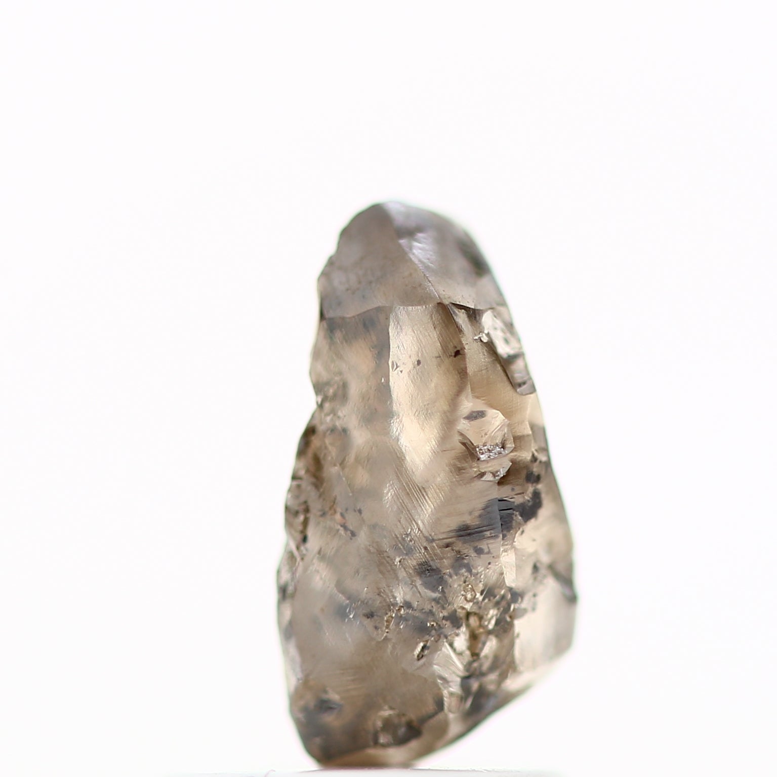 ClariOLED Transparent OLED Display price