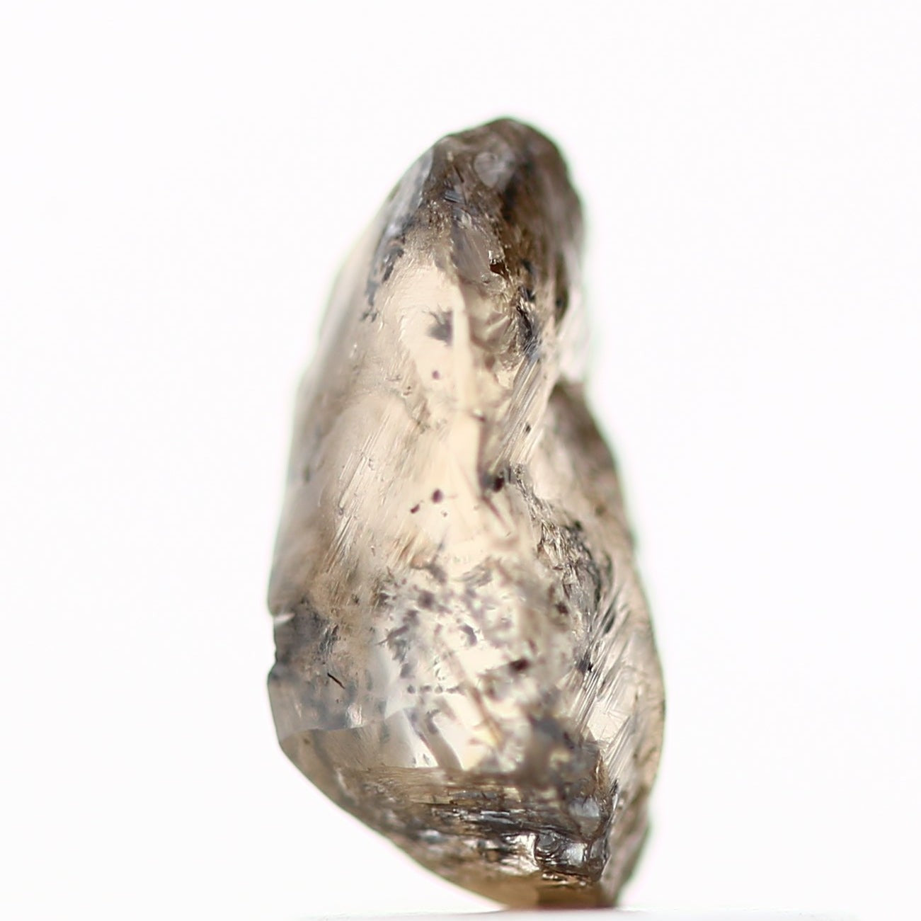 ClariOLED Transparent OLED Display price