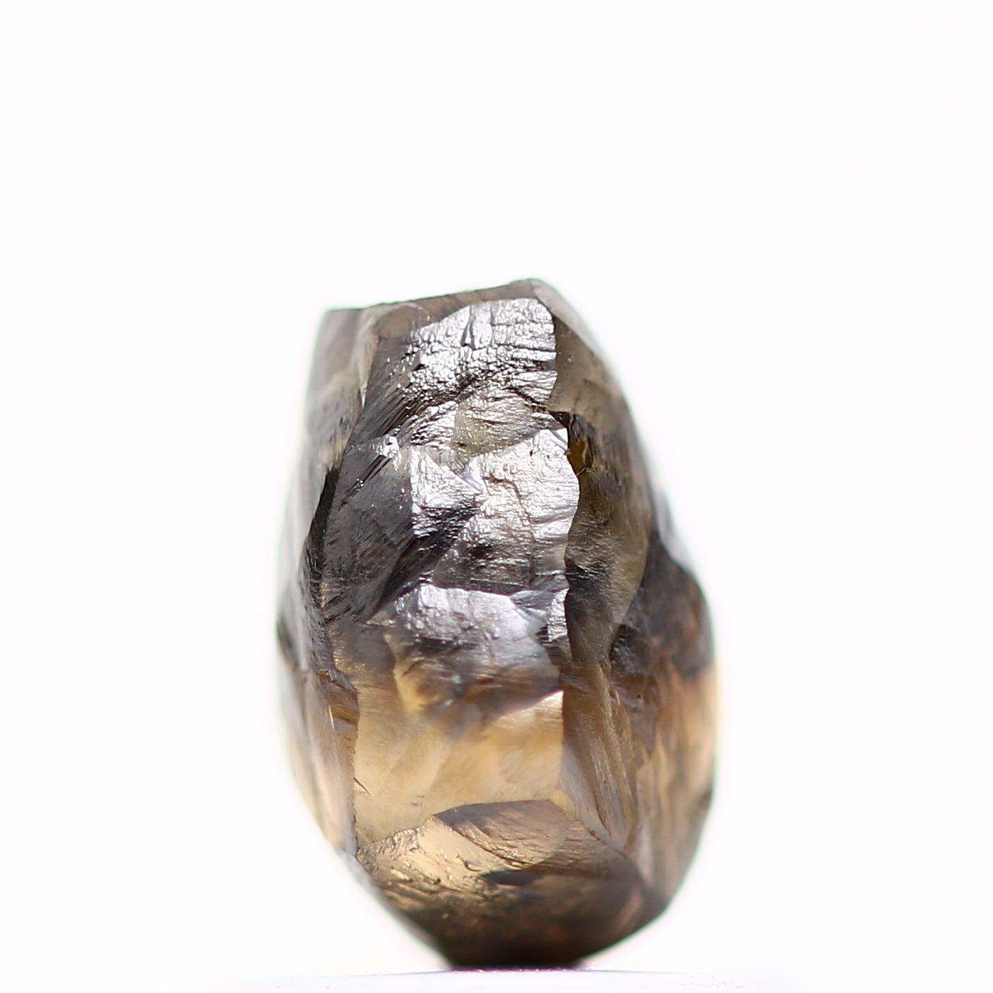 ClariOLED Transparent OLED Display price