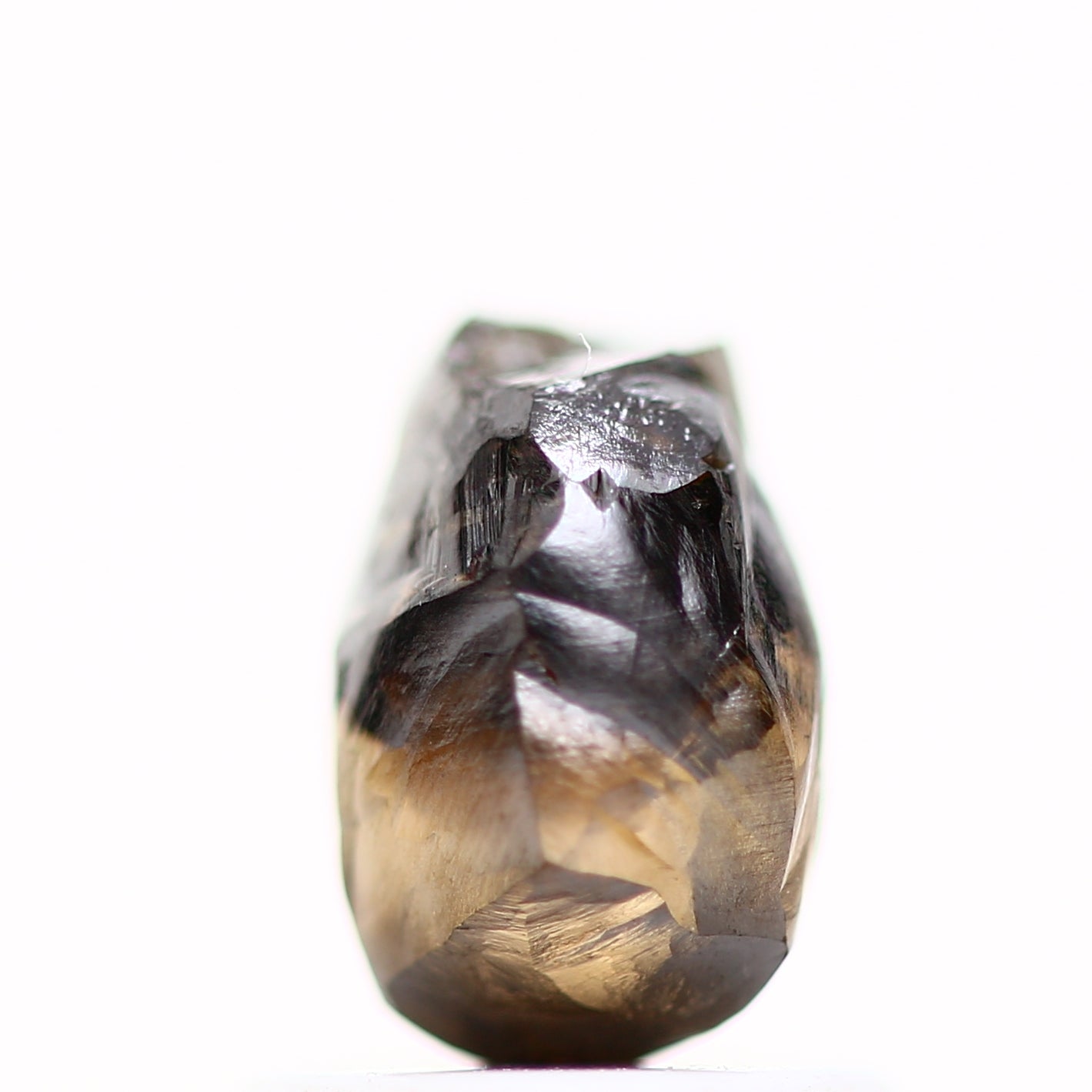 ClariOLED Transparent OLED Display price