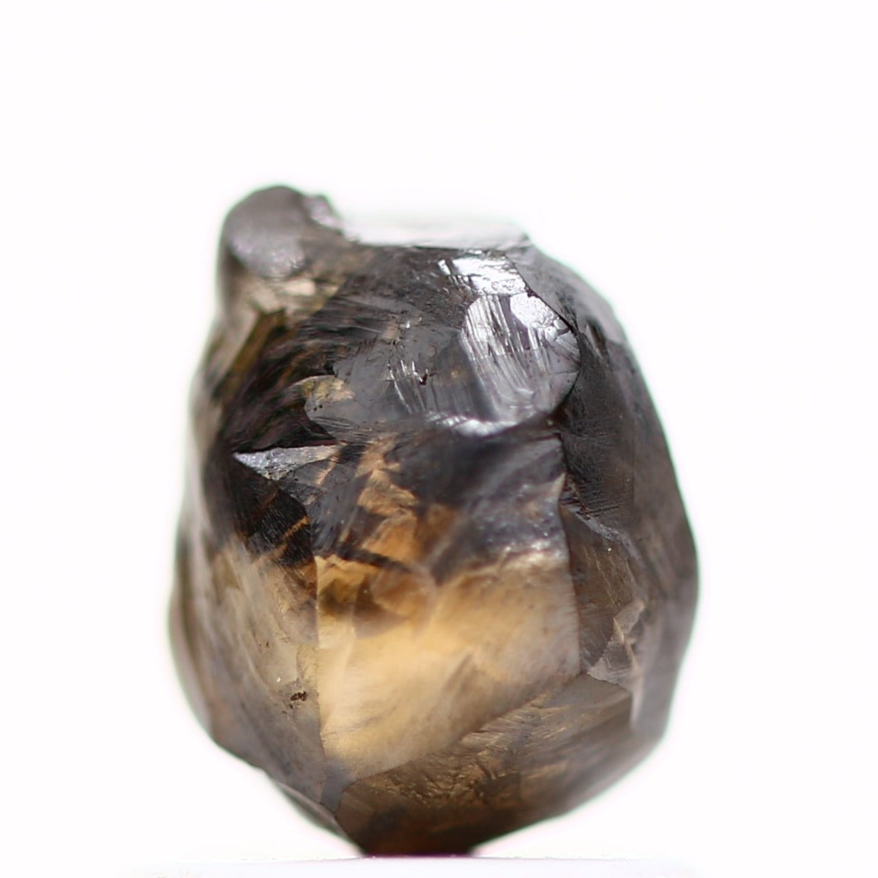 ClariOLED Transparent OLED Display price