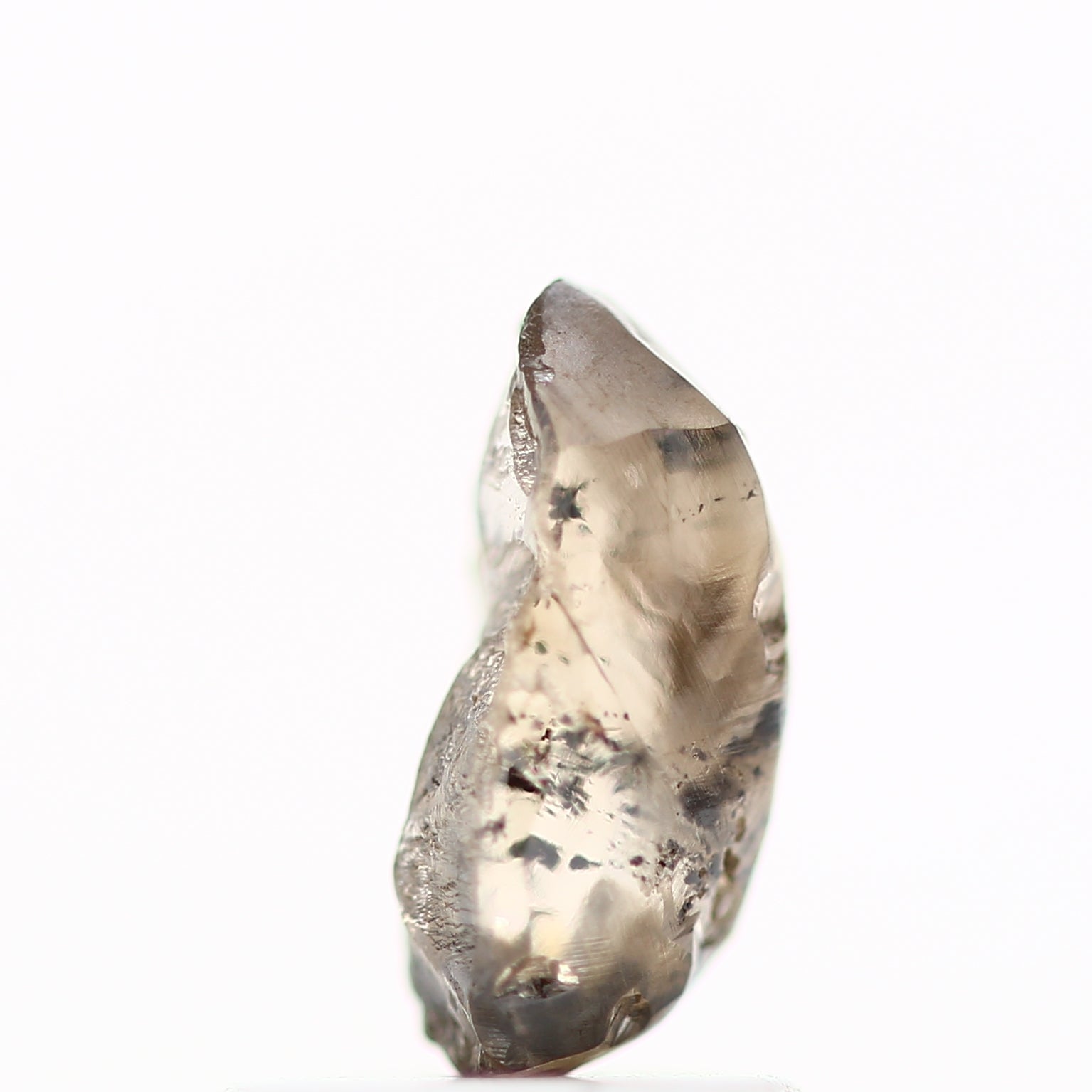 ClariOLED Transparent OLED Display price