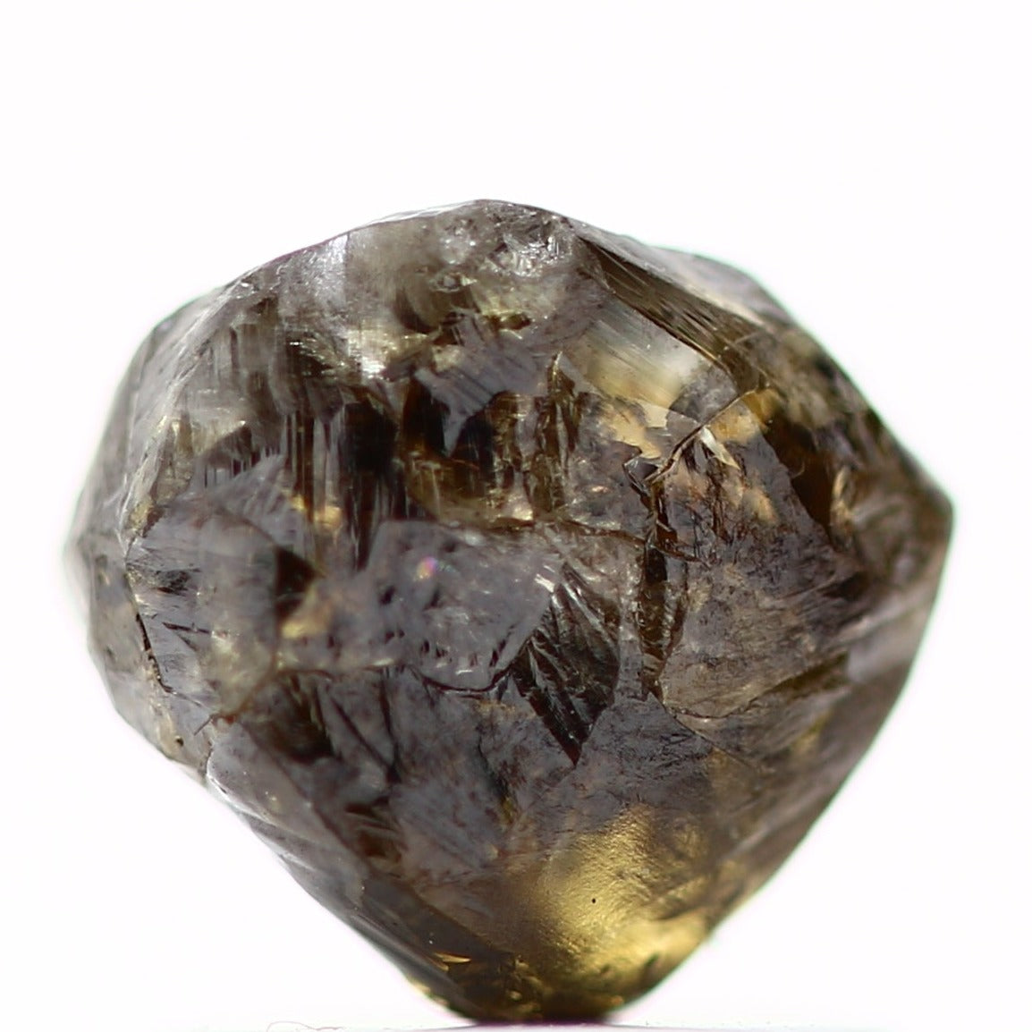 ClariOLED Transparent OLED Display price