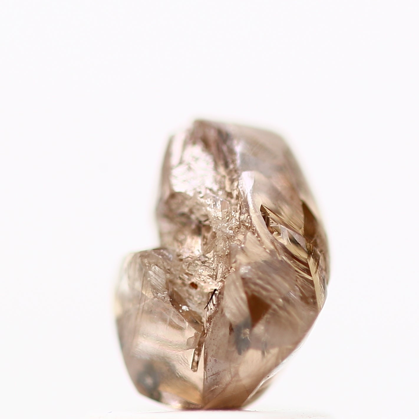 ClariOLED Transparent OLED Display price