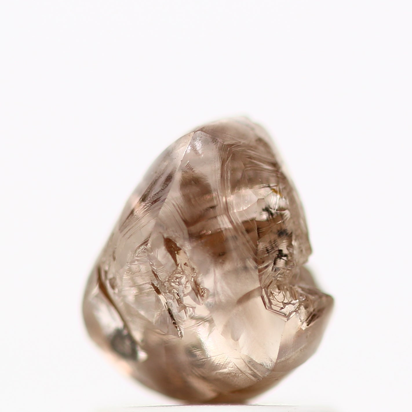 ClariOLED Transparent OLED Display price