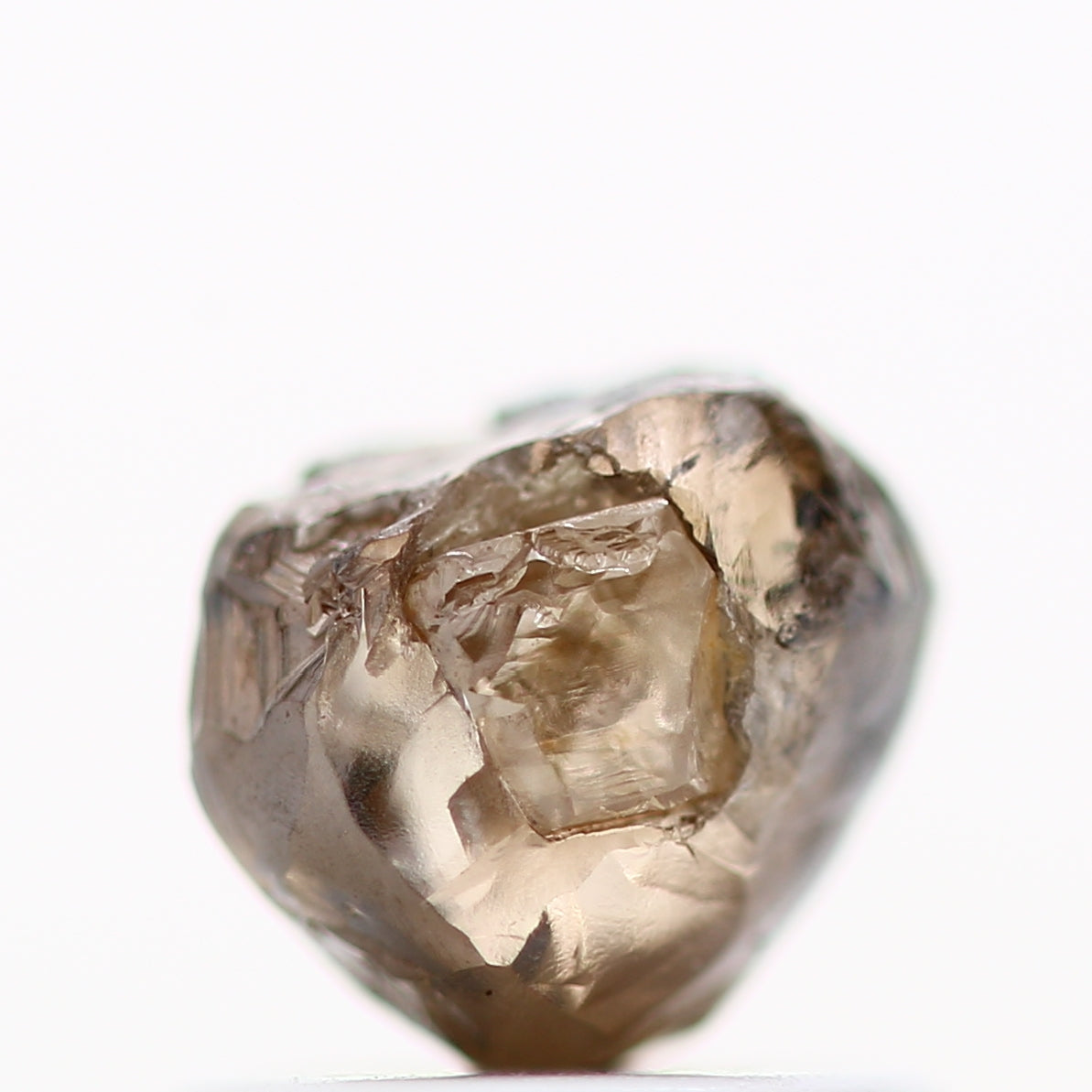 ClariOLED Transparent OLED Display price