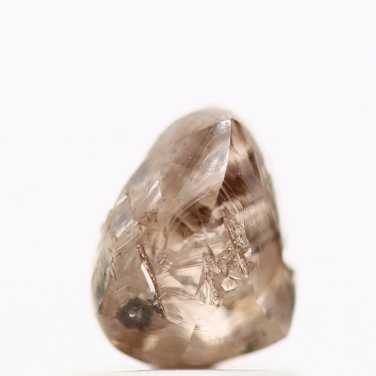 ClariOLED Transparent OLED Display price