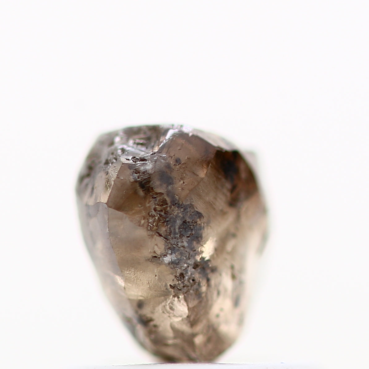 ClariOLED Transparent OLED Display price