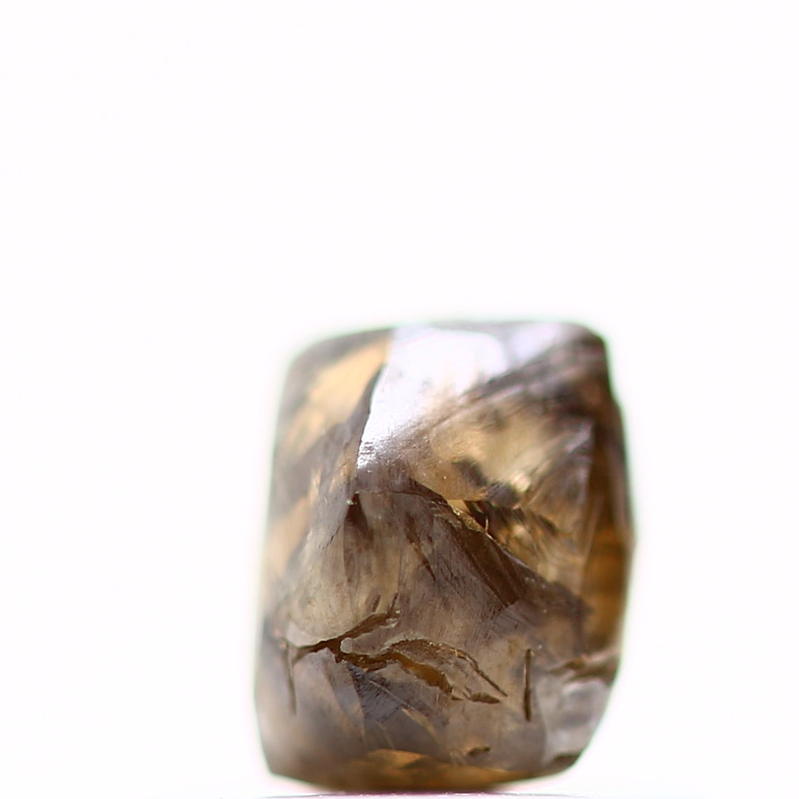 ClariOLED Transparent OLED Display price