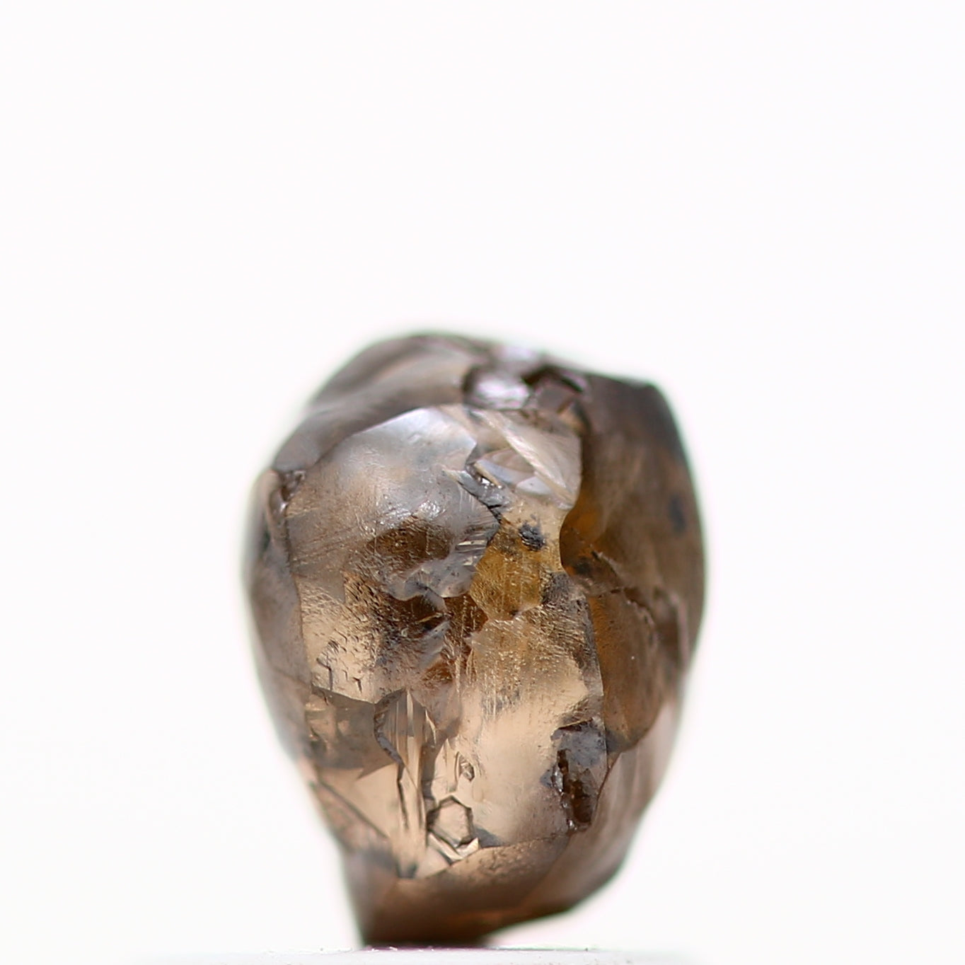 ClariOLED Transparent OLED Display price