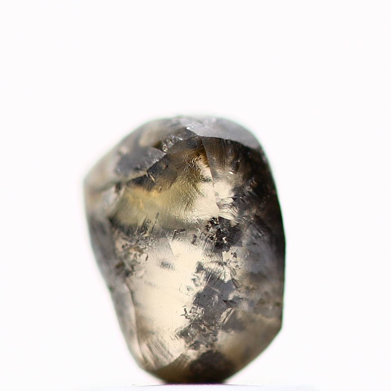 ClariOLED Transparent OLED Display price