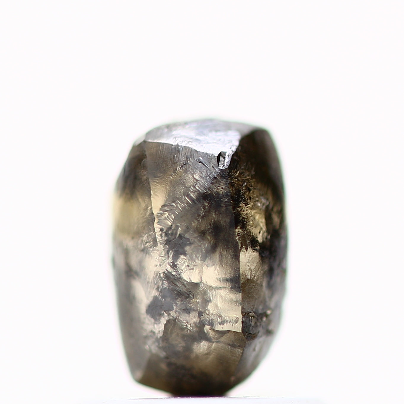 ClariOLED Transparent OLED Display price