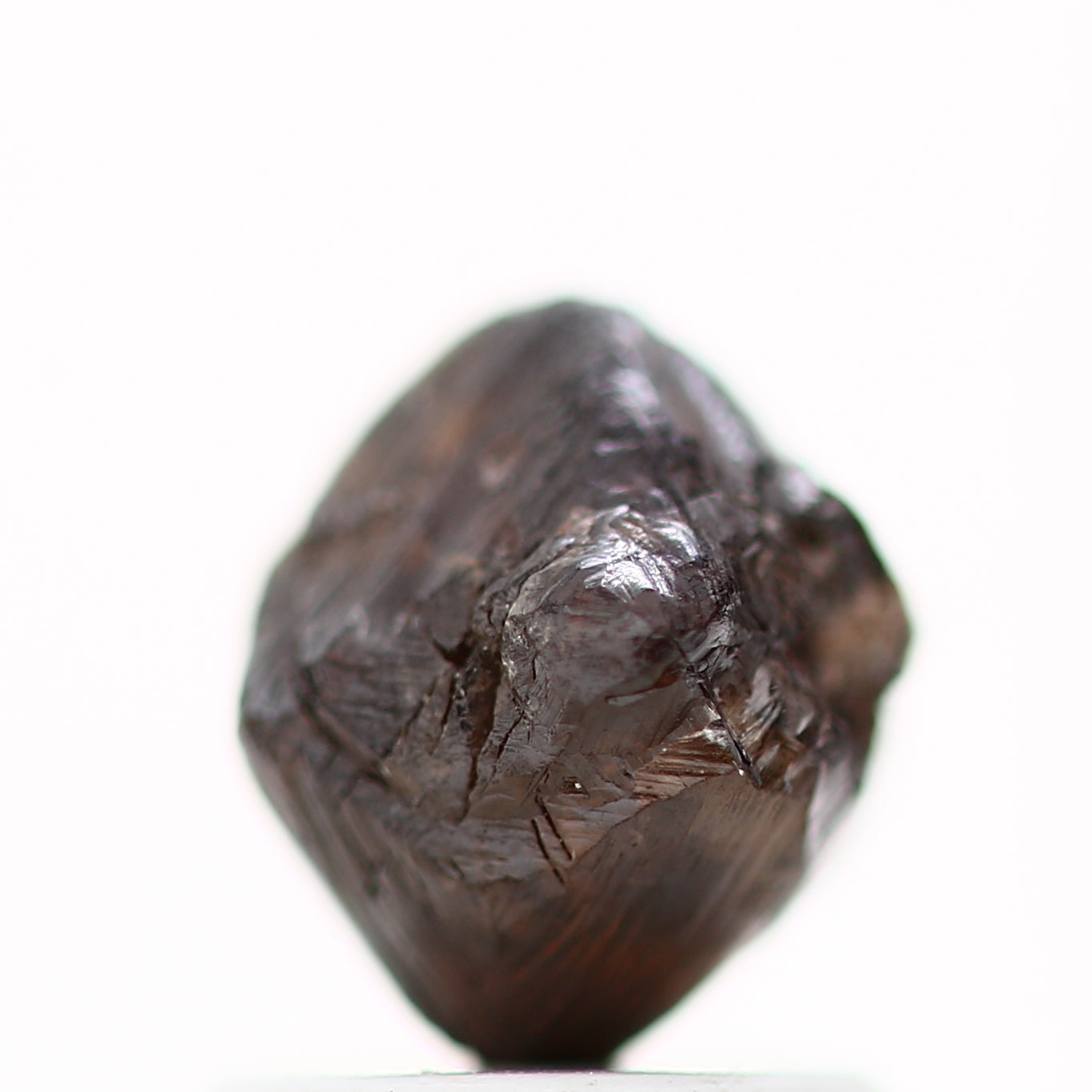 ClariOLED Transparent OLED Display price