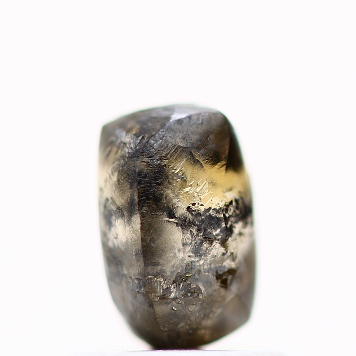 ClariOLED Transparent OLED Display price