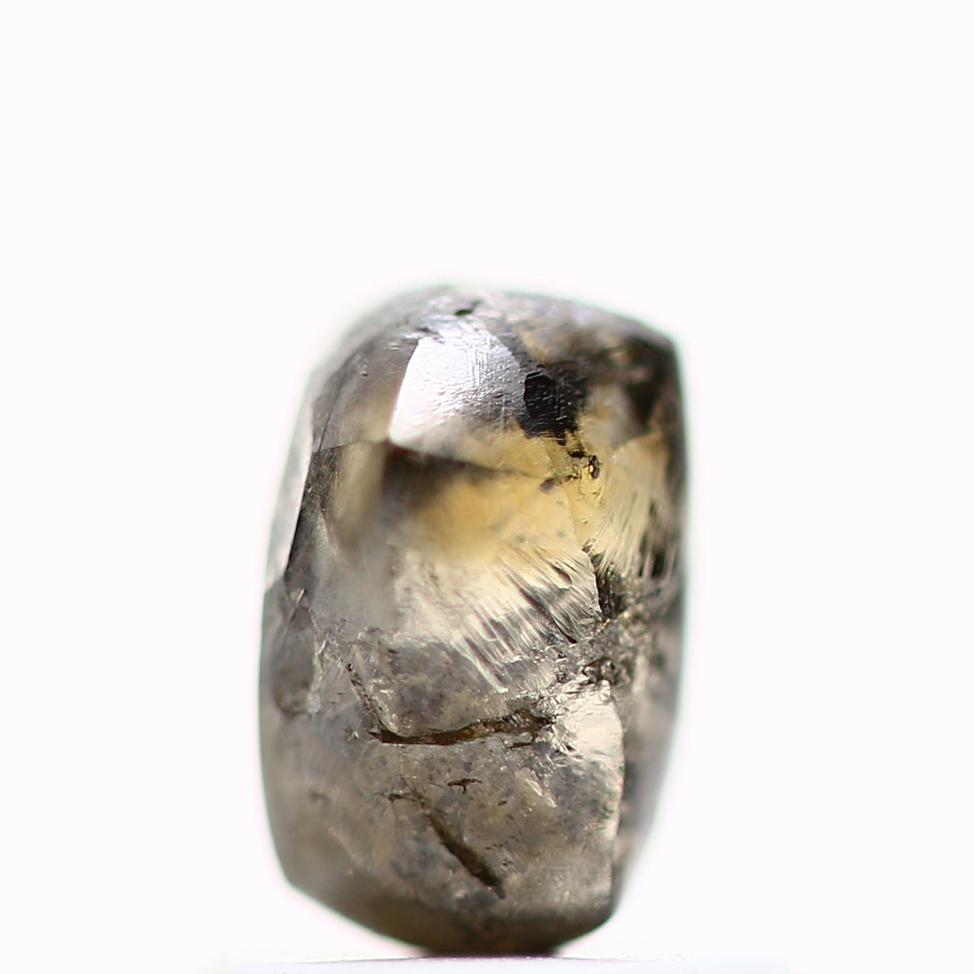 ClariOLED Transparent OLED Display price