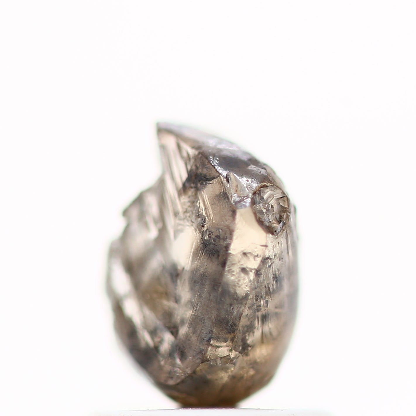 ClariOLED Transparent OLED Display price