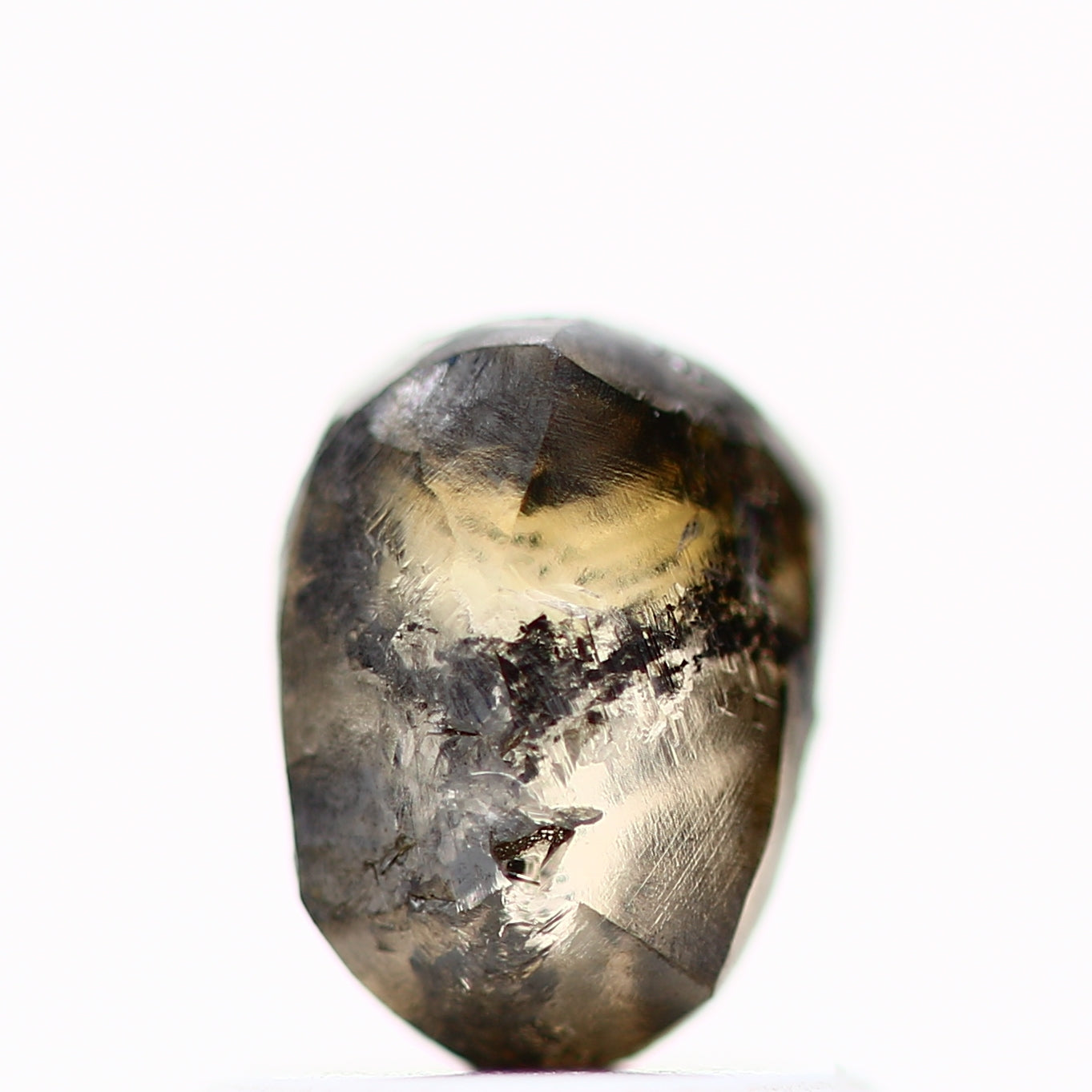 ClariOLED Transparent OLED Display price