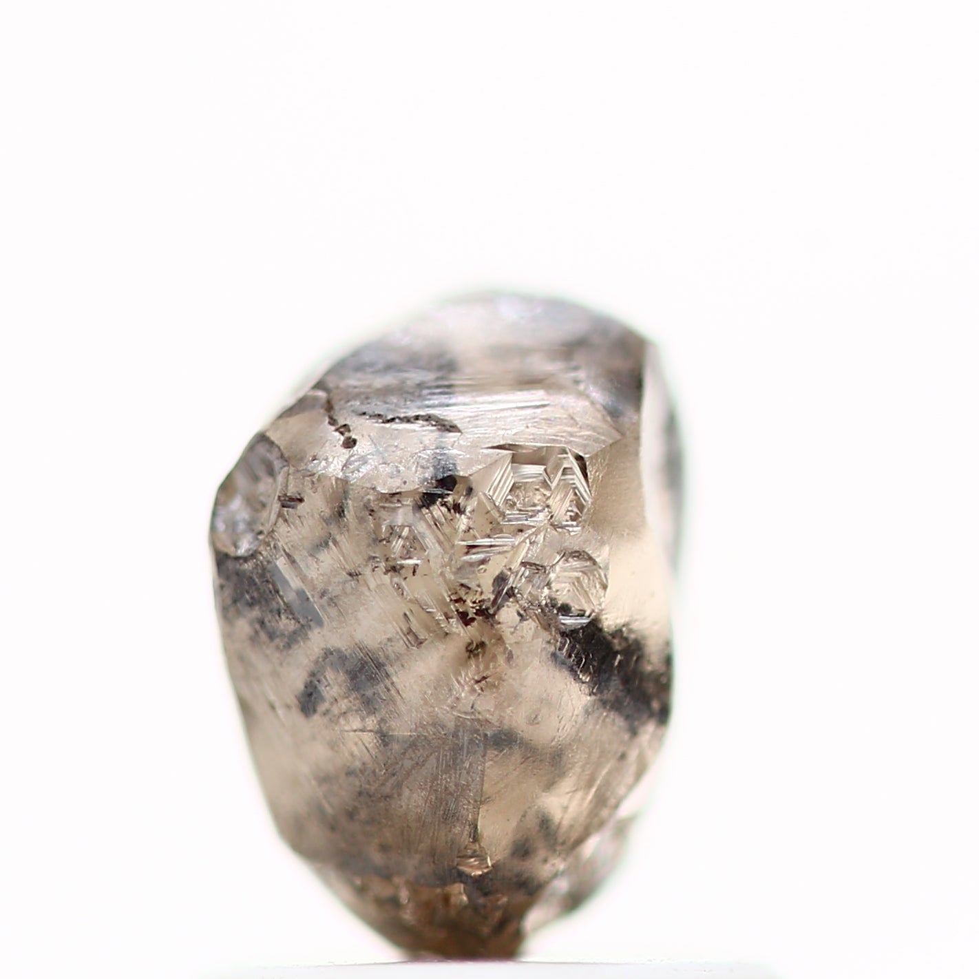 ClariOLED Transparent OLED Display price