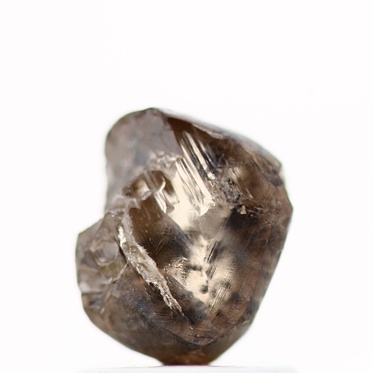 ClariOLED Transparent OLED Display price