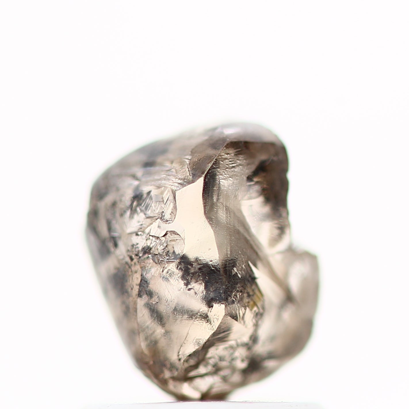 ClariOLED Transparent OLED Display price