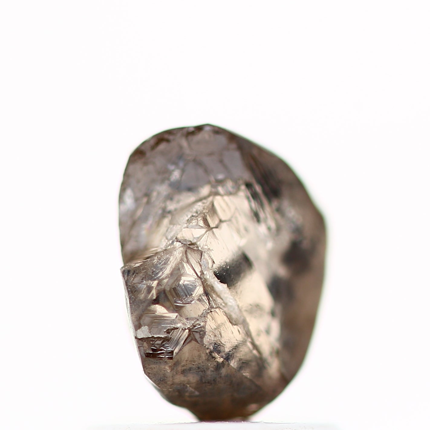 ClariOLED Transparent OLED Display price