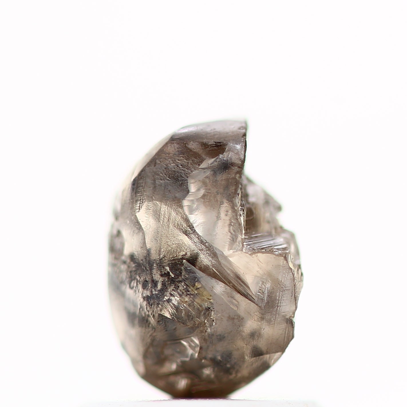 ClariOLED Transparent OLED Display price