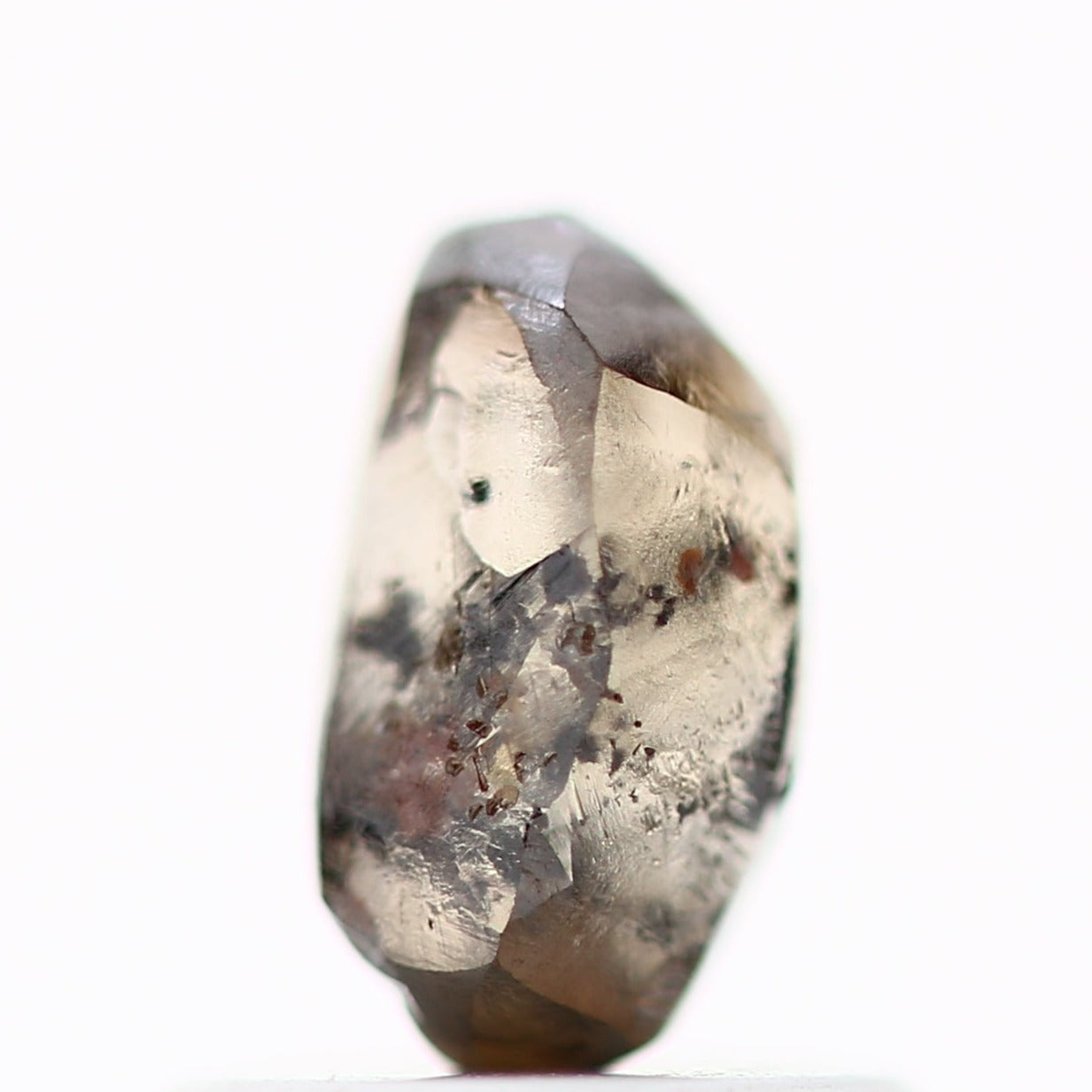 ClariOLED Transparent OLED Display price