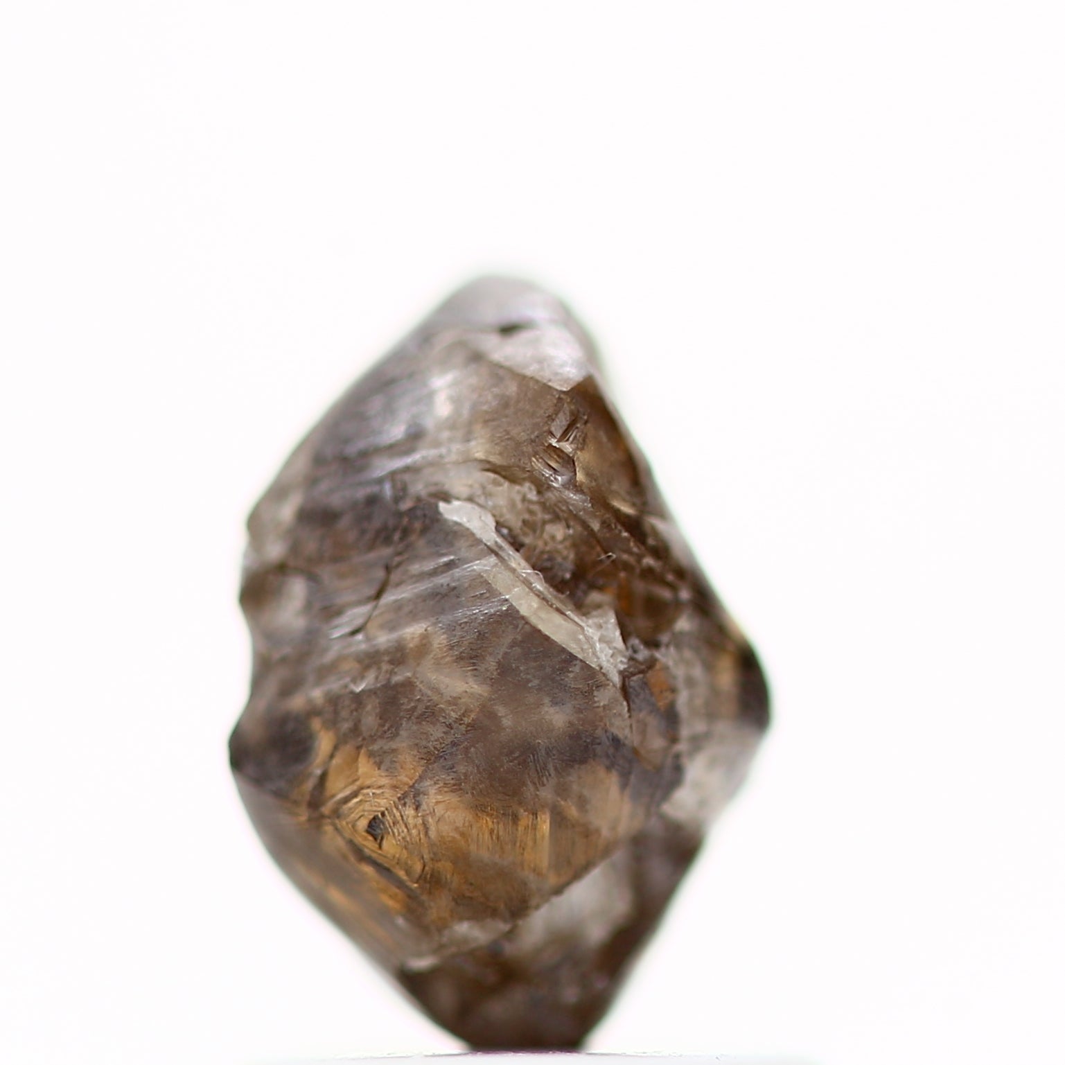 ClariOLED Transparent OLED Display price