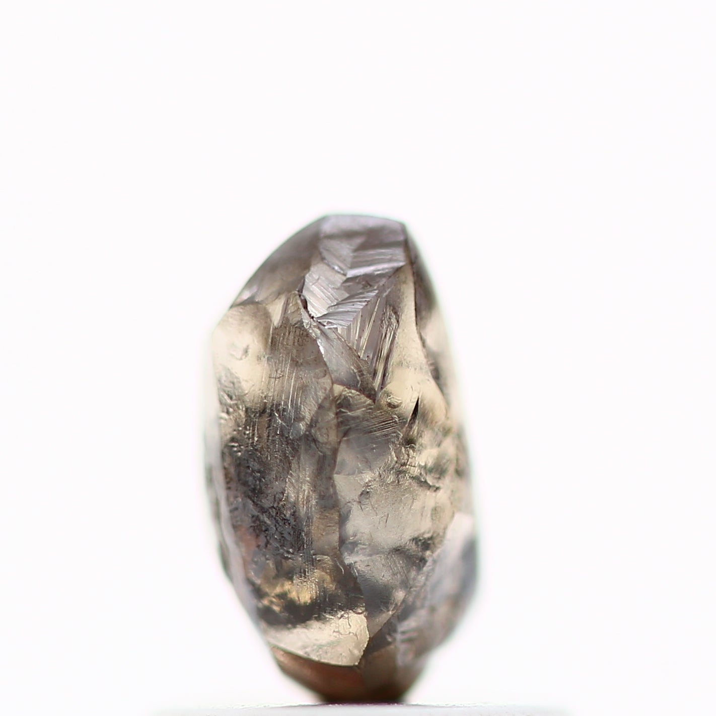 ClariOLED Transparent OLED Display price