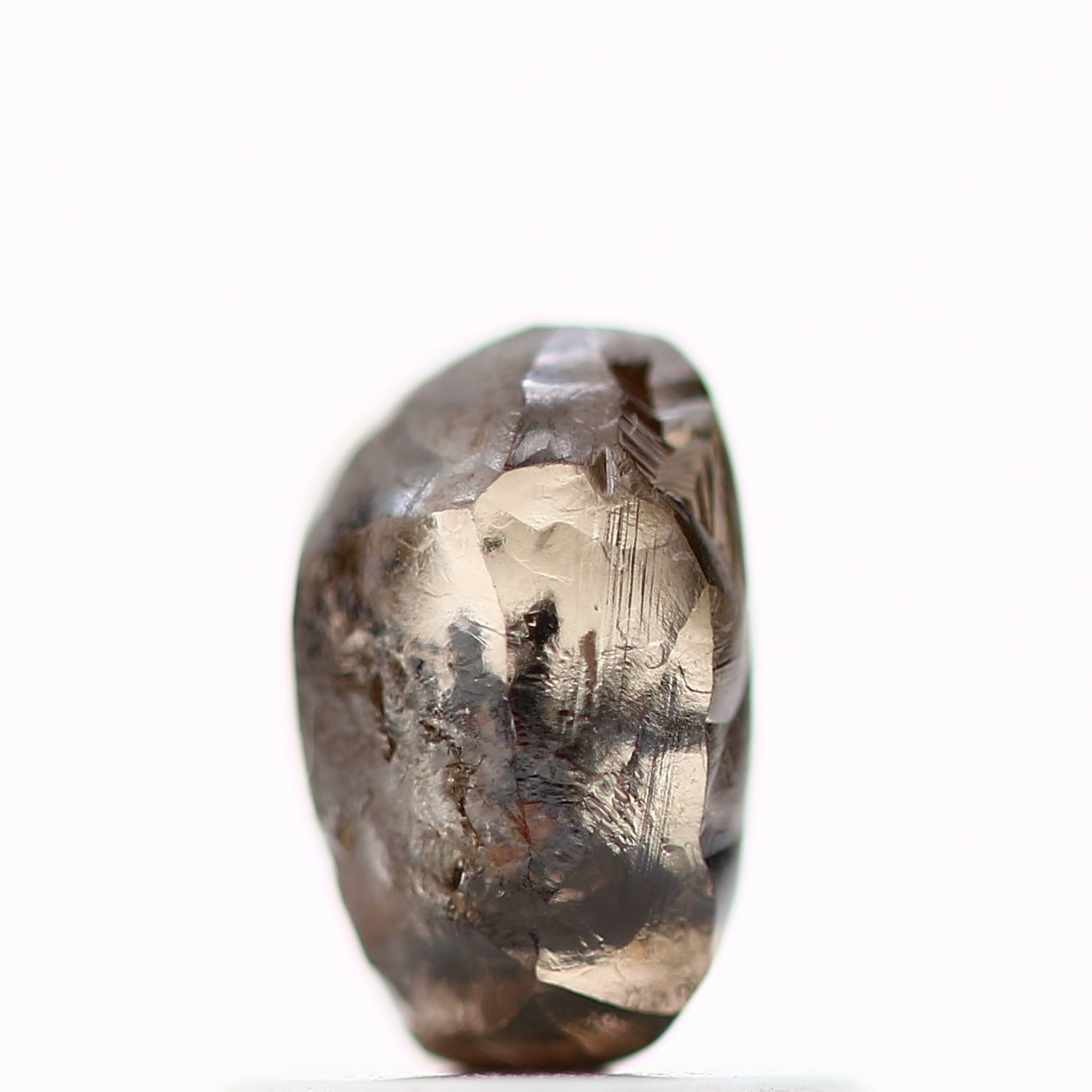 ClariOLED Transparent OLED Display price