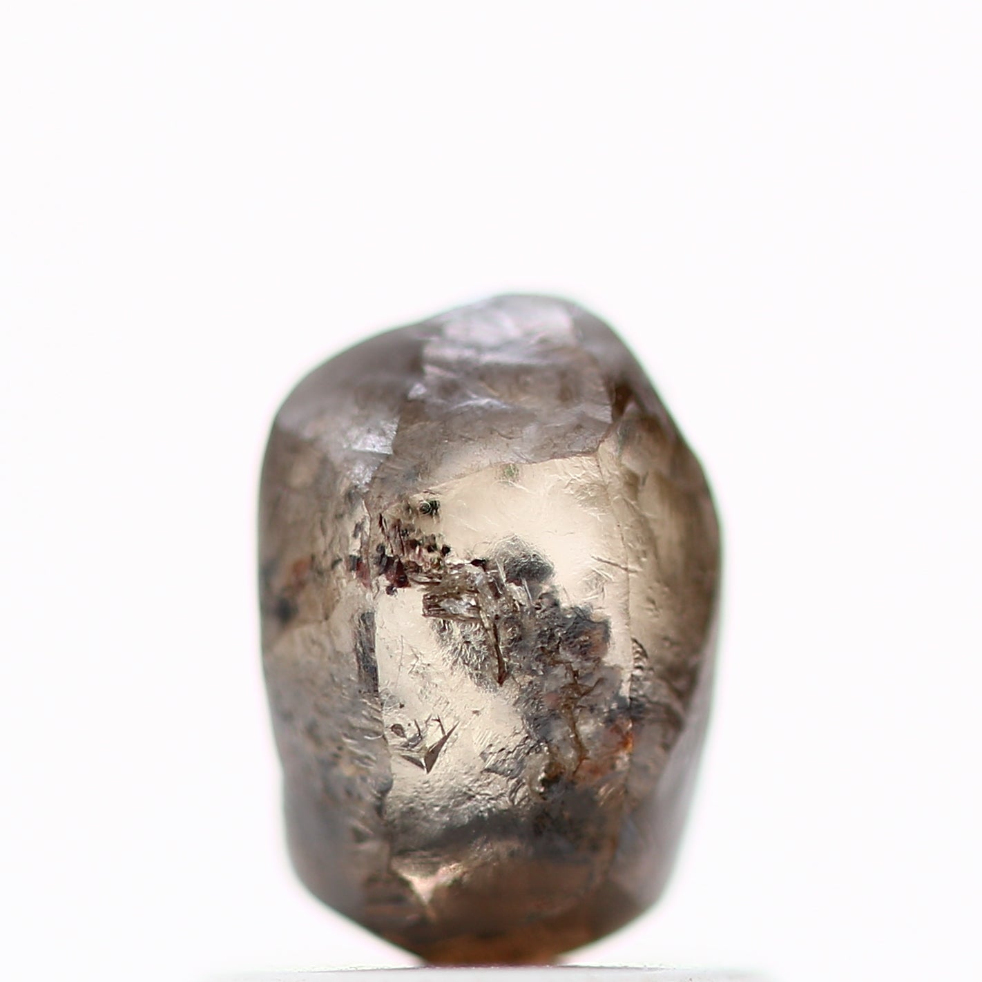 ClariOLED Transparent OLED Display price