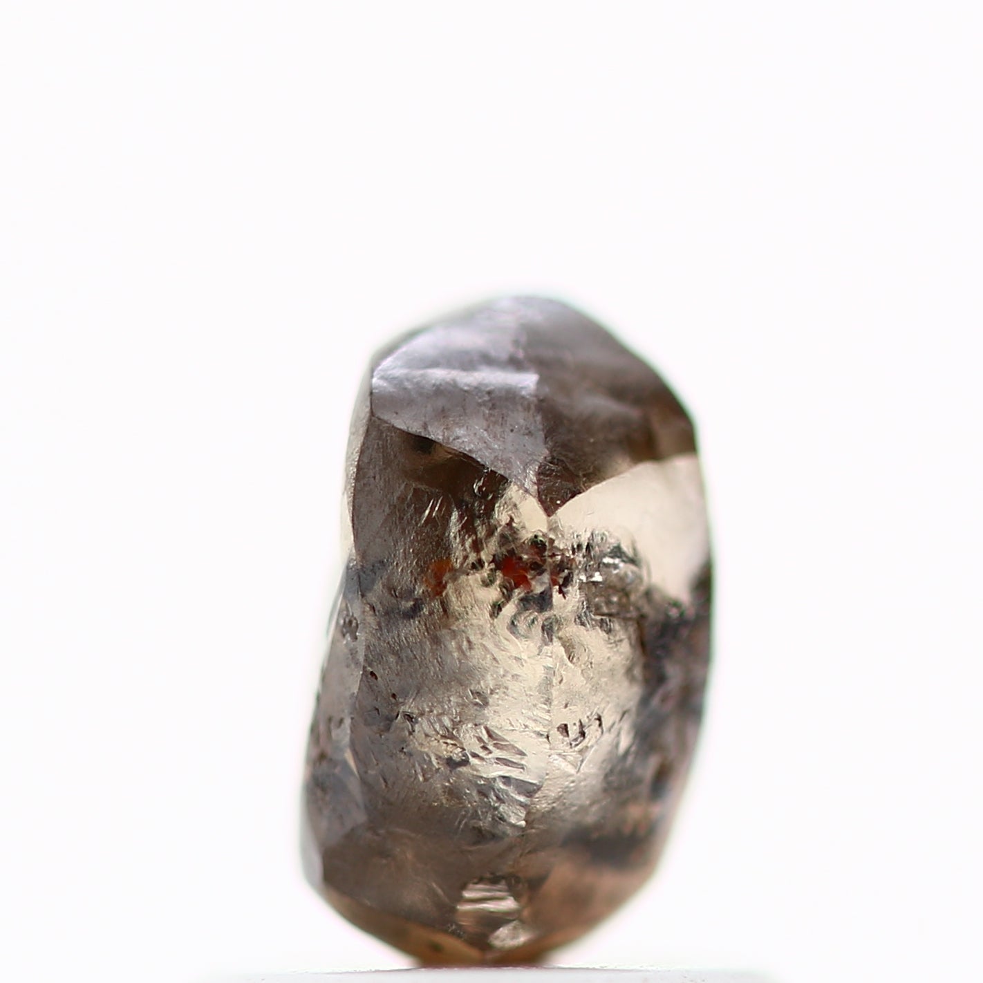 ClariOLED Transparent OLED Display price