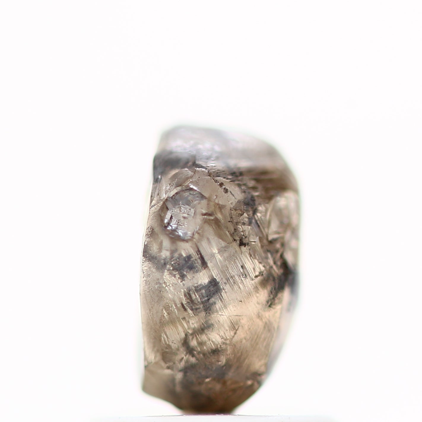 ClariOLED Transparent OLED Display price