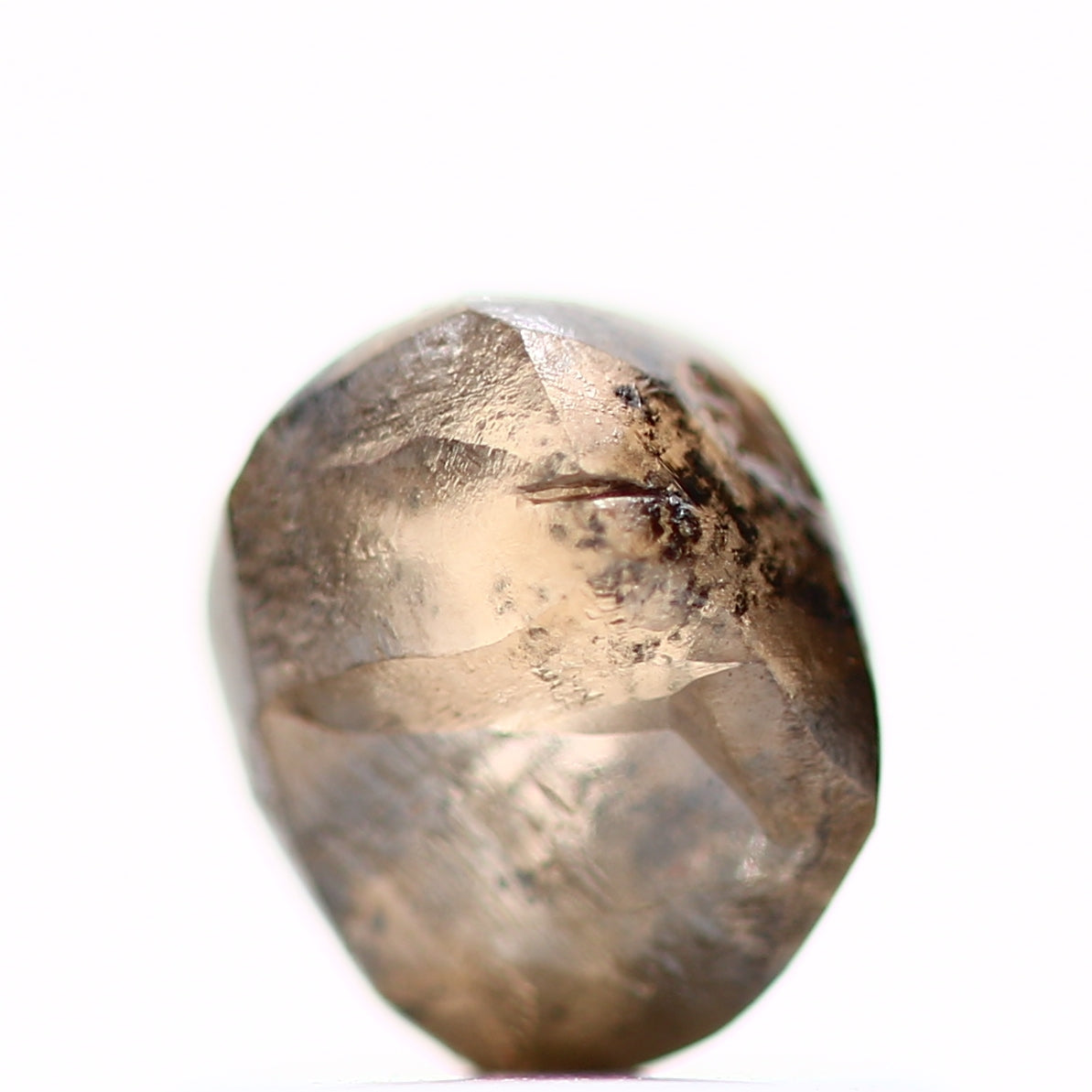 ClariOLED Transparent OLED Display price