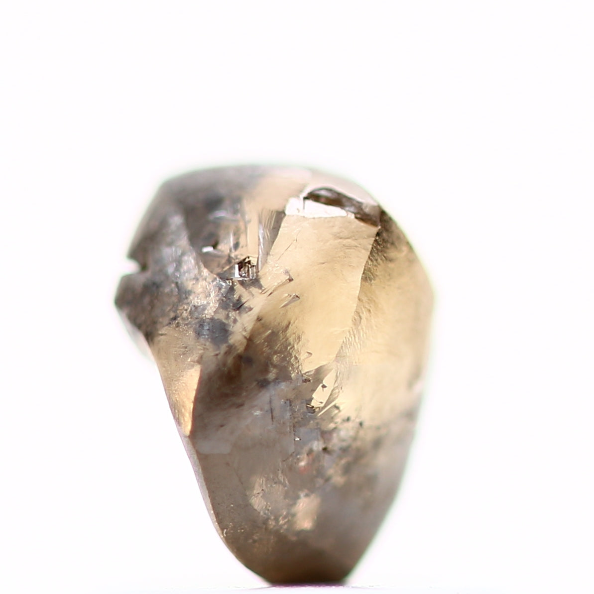 ClariOLED Transparent OLED Display price