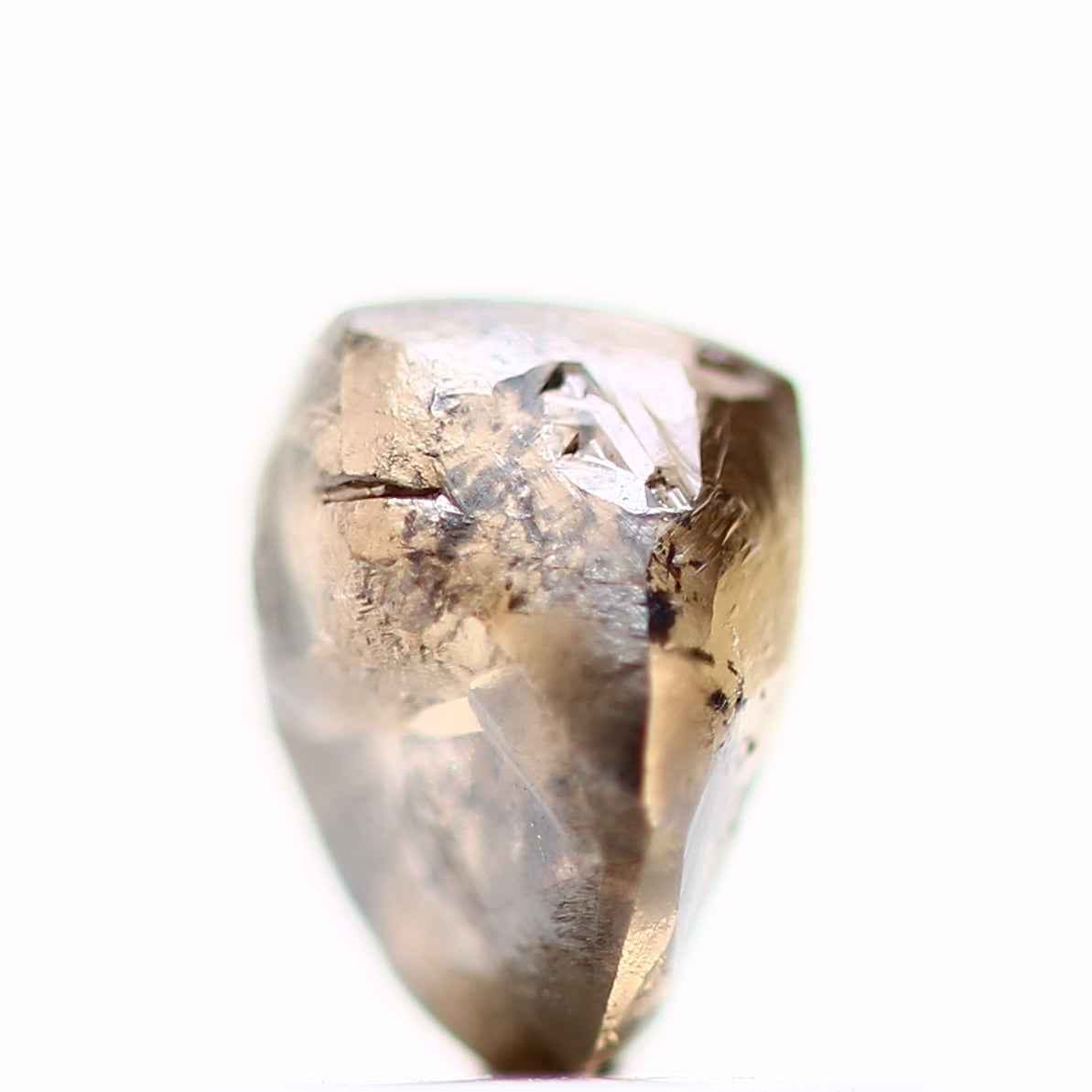 ClariOLED Transparent OLED Display price