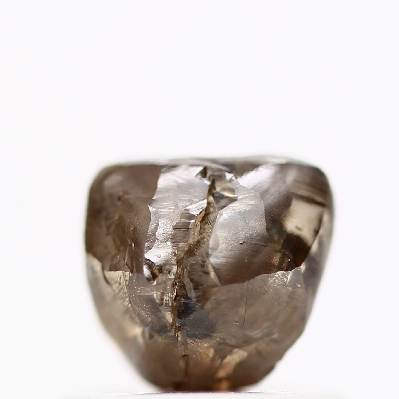 ClariOLED Transparent OLED Display price