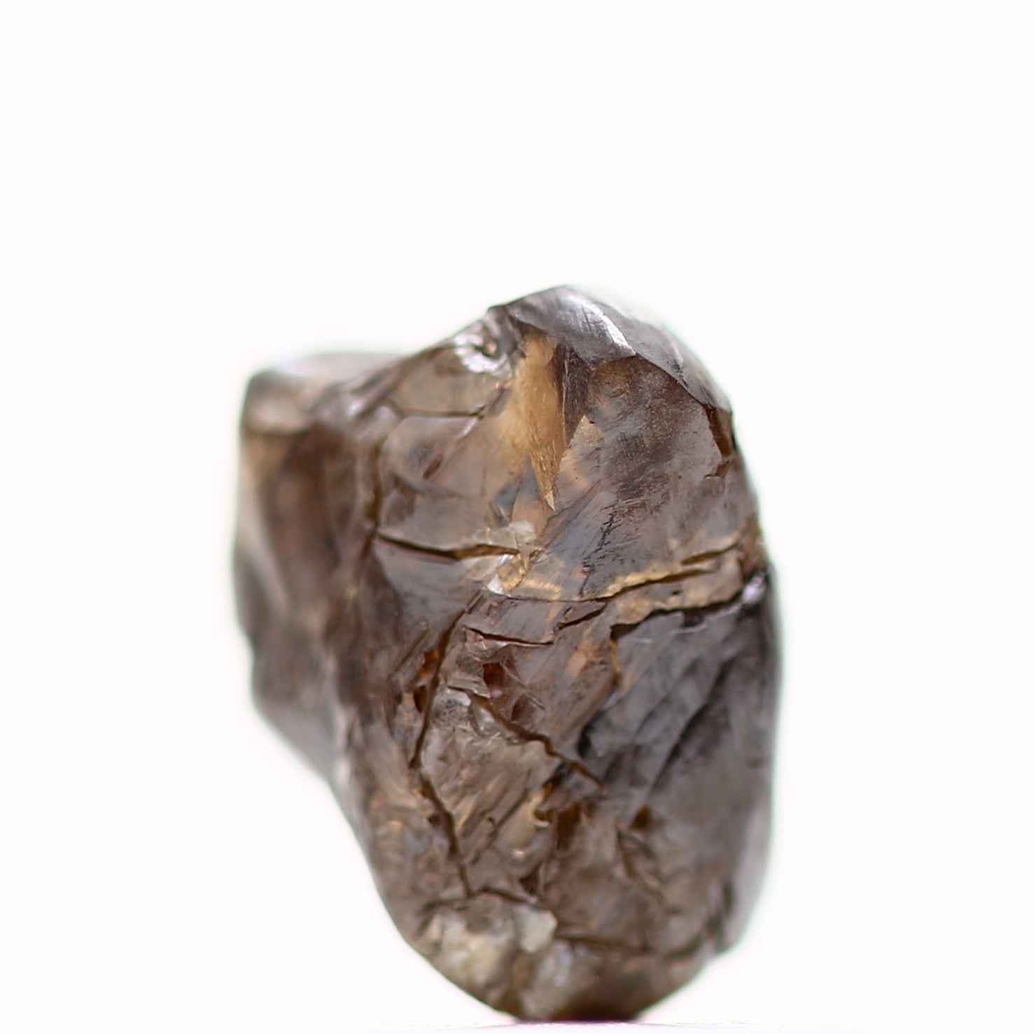 ClariOLED Transparent OLED Display price