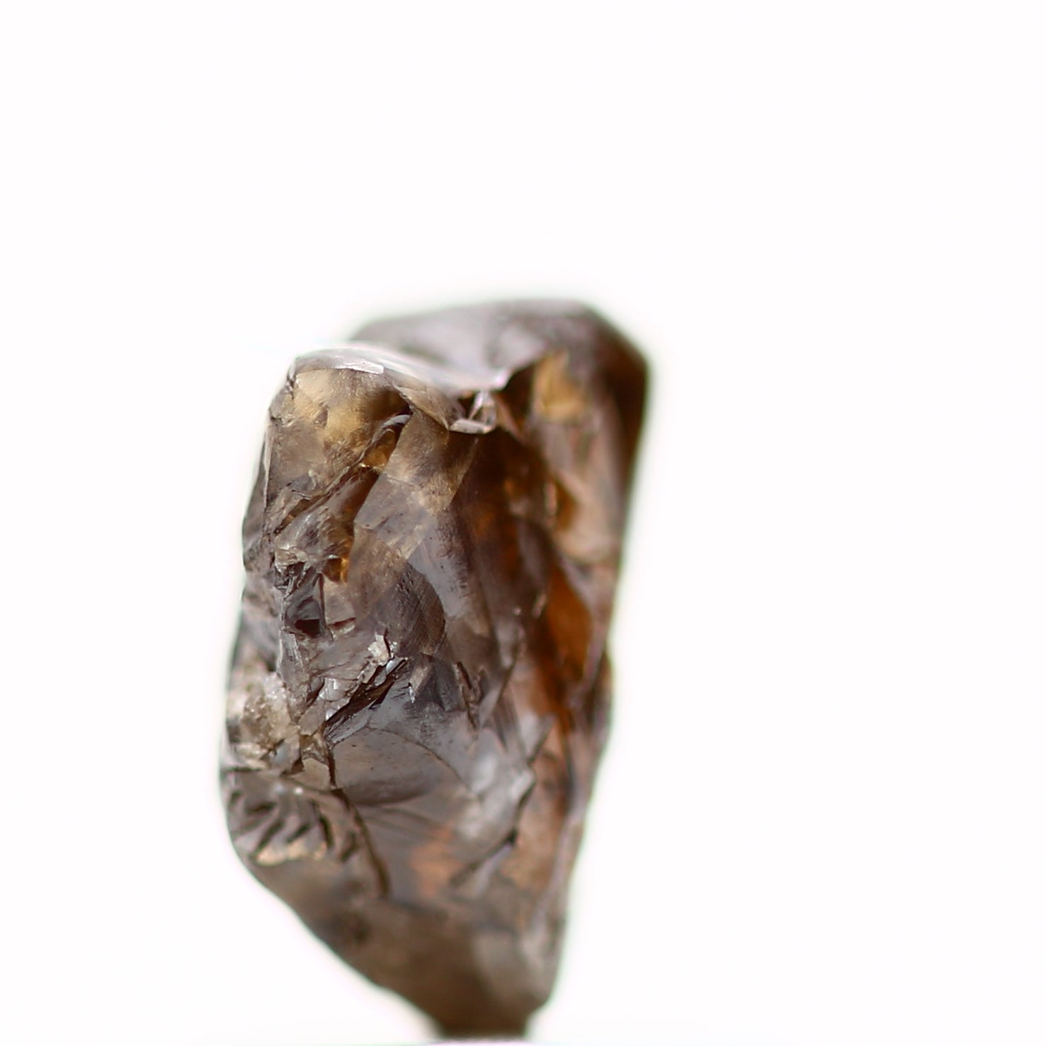 ClariOLED Transparent OLED Display price