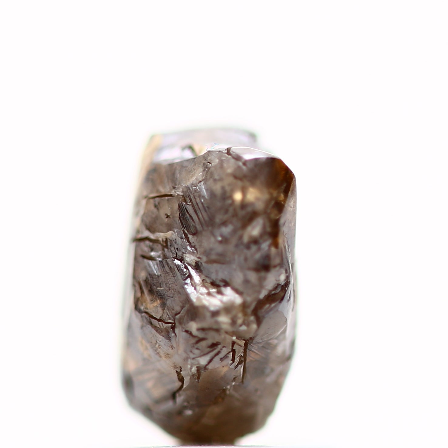 ClariOLED Transparent OLED Display price