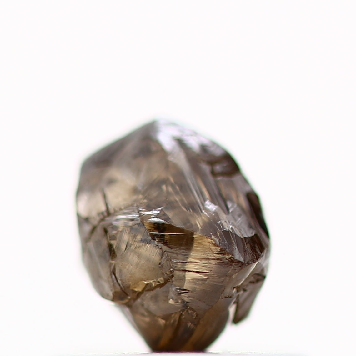 ClariOLED Transparent OLED Display price