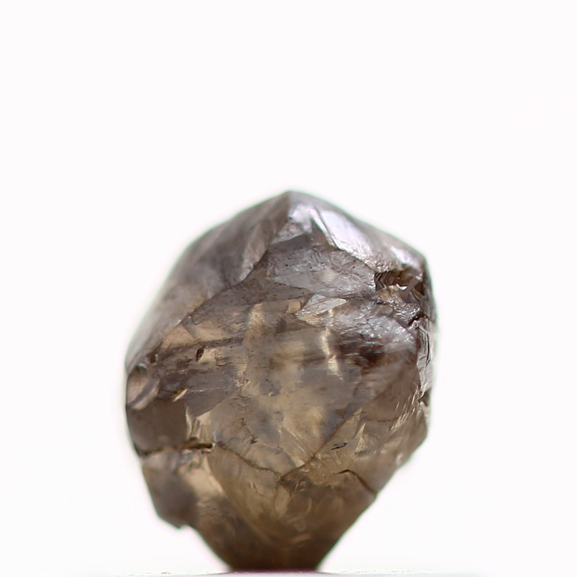 ClariOLED Transparent OLED Display price