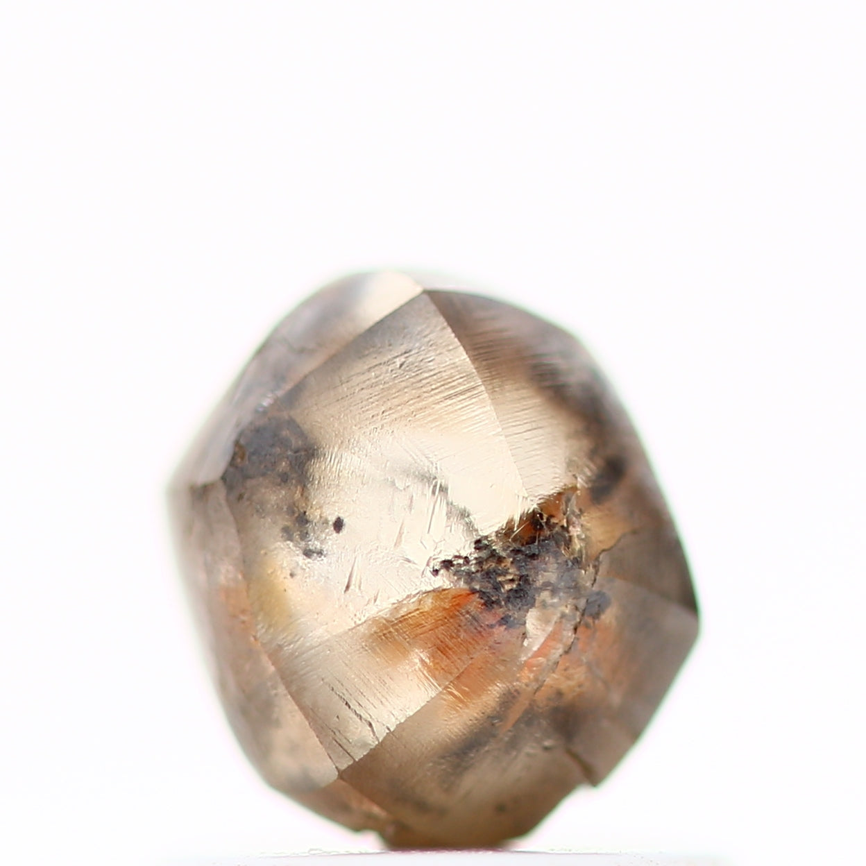 ClariOLED Transparent OLED Display price