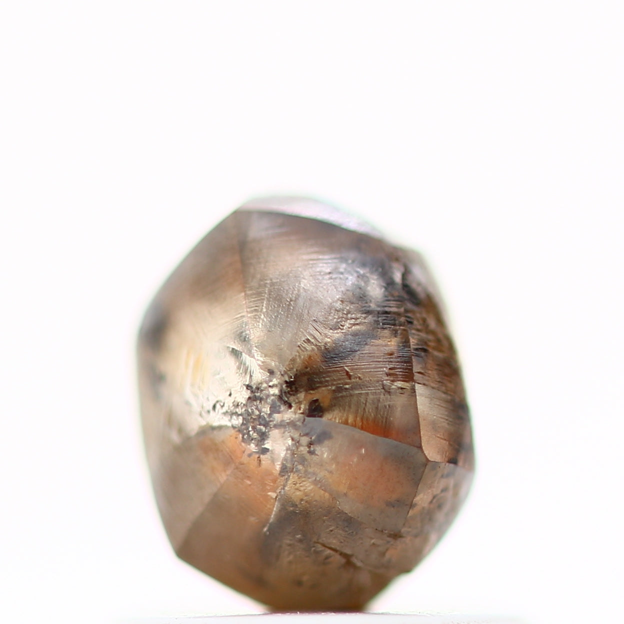 ClariOLED Transparent OLED Display price