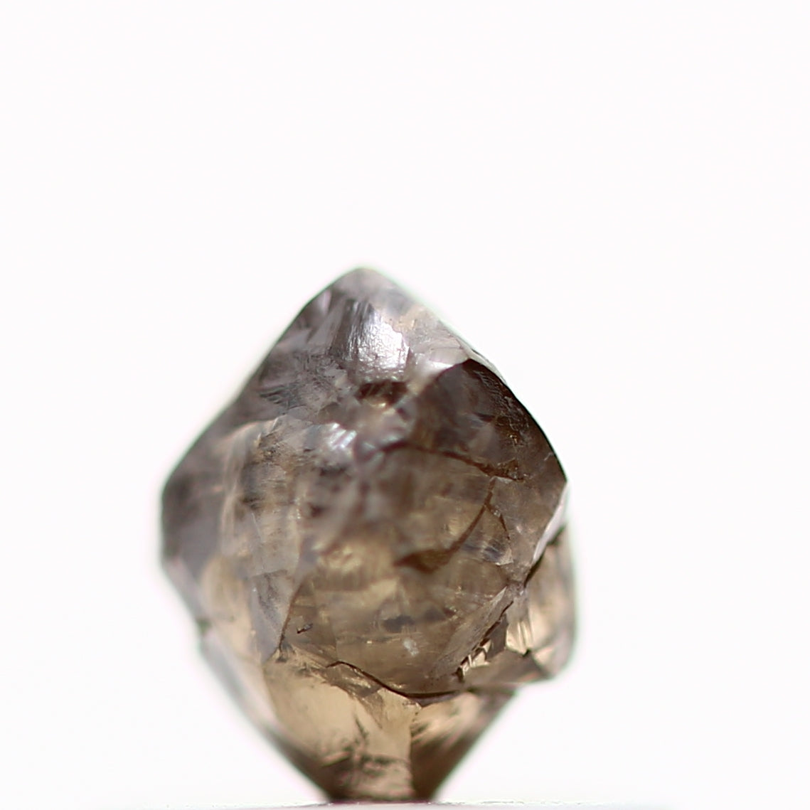 ClariOLED Transparent OLED Display price